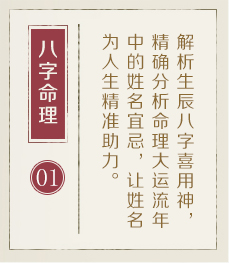 延边起名流程一